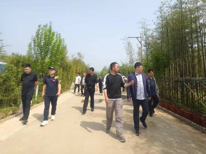 "v看太行泉城 网聚美丽邢台"网络名人游邢台系列采风活动走进柏乡